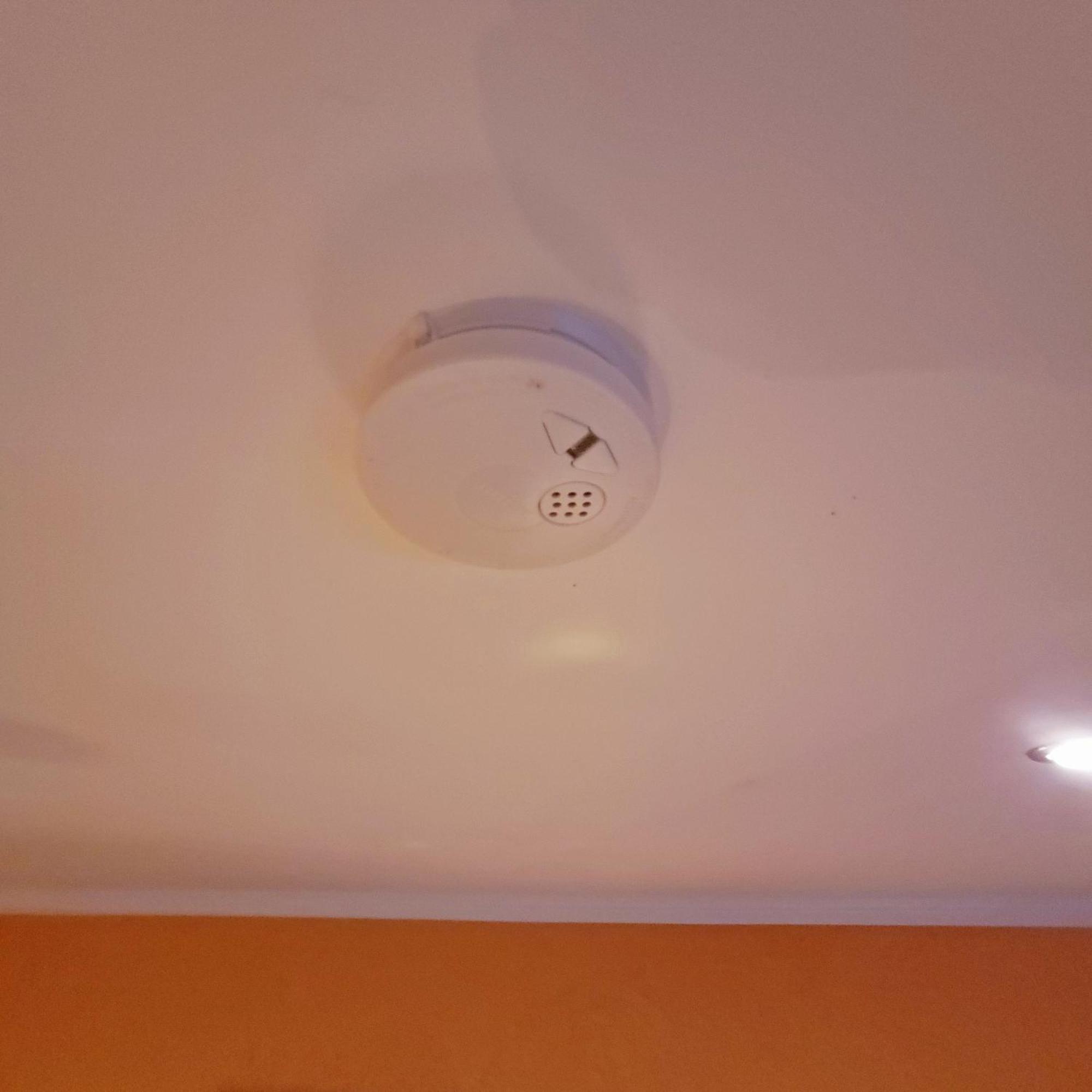 Apartment Close To Nature,Airport, Fair Ratingen Exteriör bild